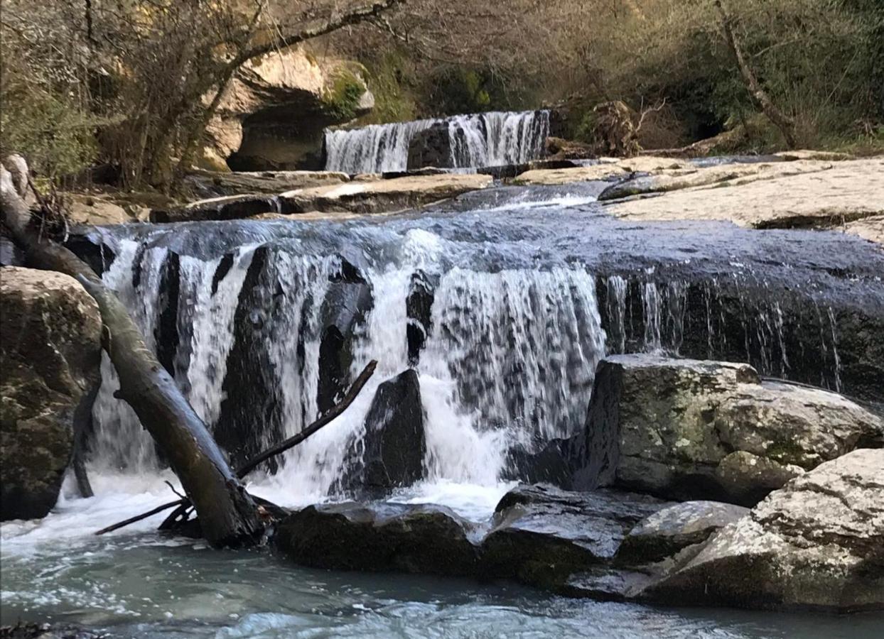B&B Il Grifo Bomarzo Dış mekan fotoğraf
