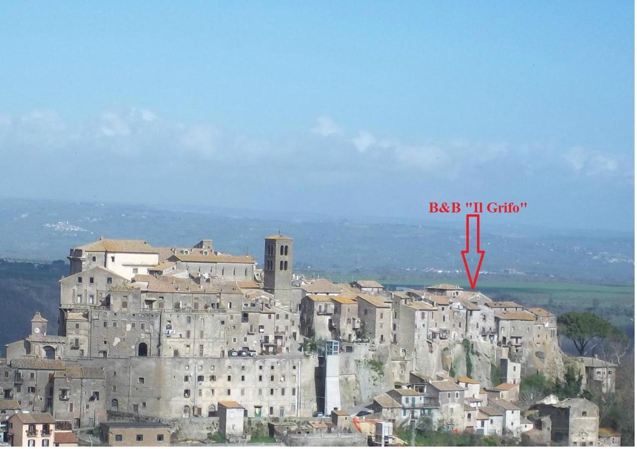 B&B Il Grifo Bomarzo Dış mekan fotoğraf