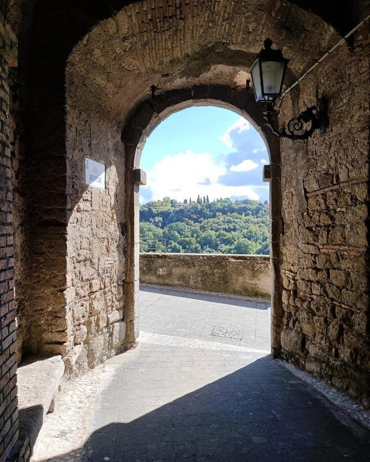 B&B Il Grifo Bomarzo Dış mekan fotoğraf