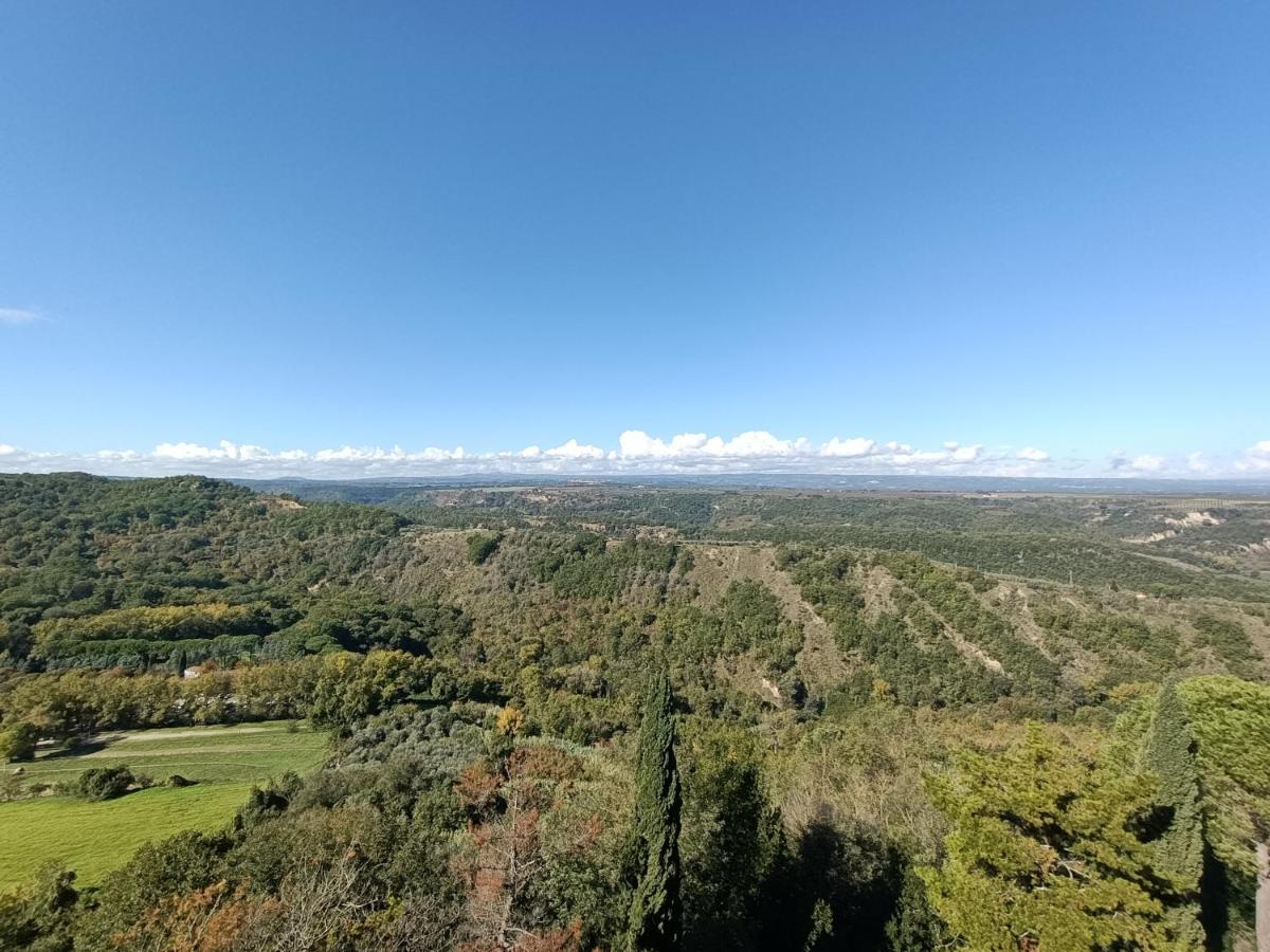 B&B Il Grifo Bomarzo Dış mekan fotoğraf