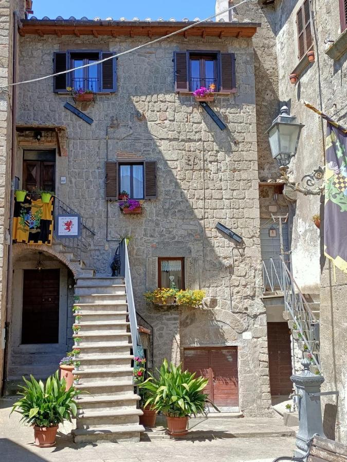 B&B Il Grifo Bomarzo Dış mekan fotoğraf